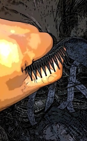 Remove the Attached Wig Comb, wig combs attached under wigs and hair extensions