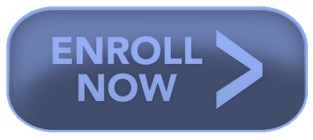 Enroll in the Easy Poly Skin Wig Repair